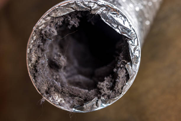 Best HVAC System Cleaning  in Stinnett, TX